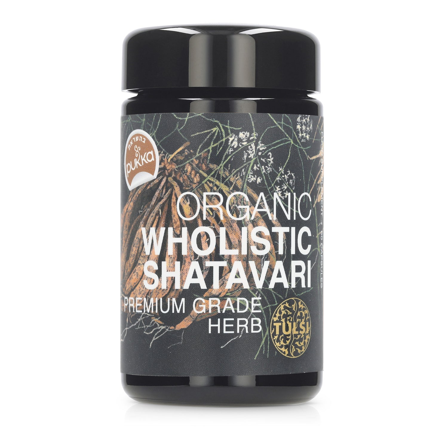 <tc>شتافاري</tc>