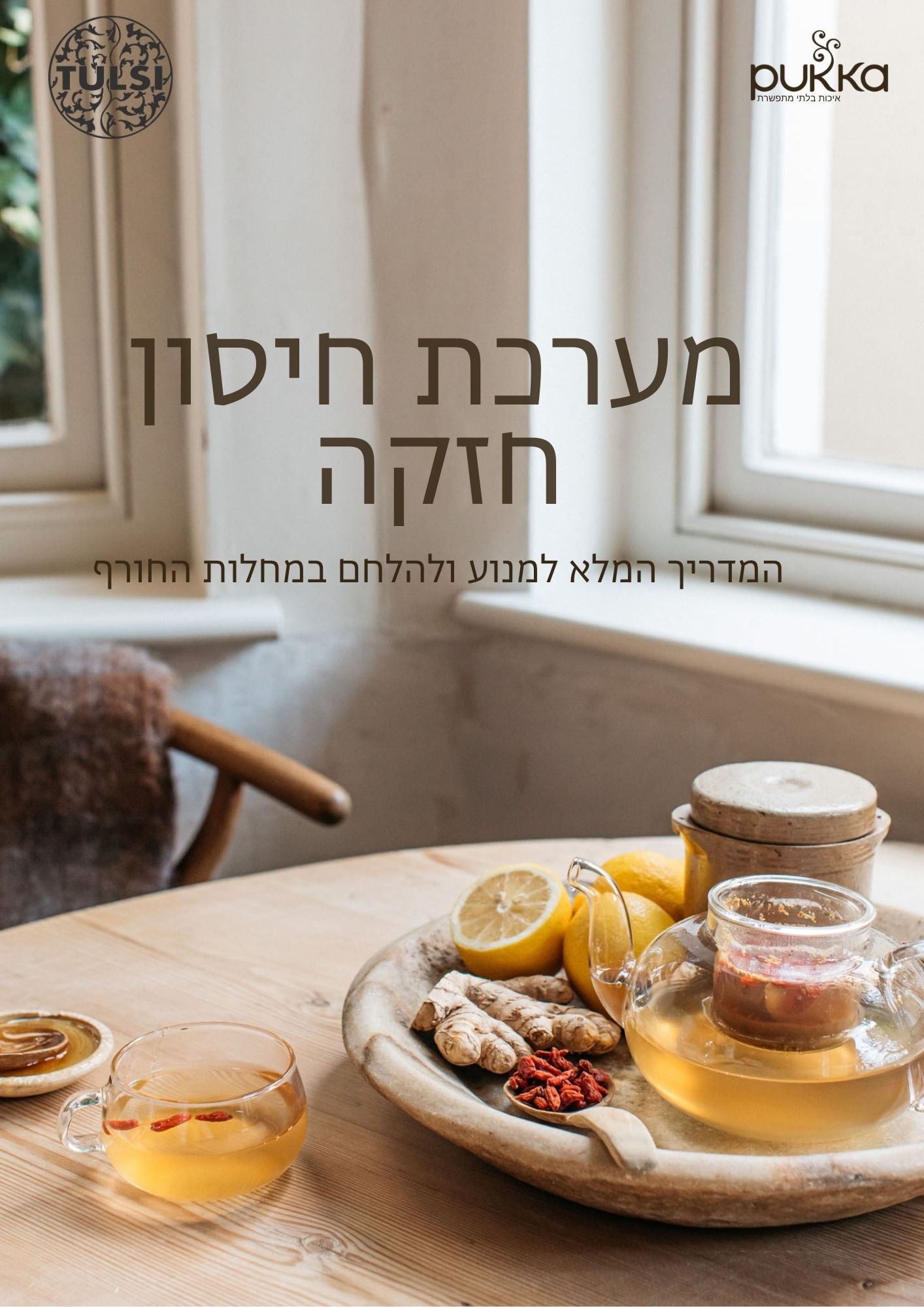 מערכת חיסון חזקה - חוברת חינמית