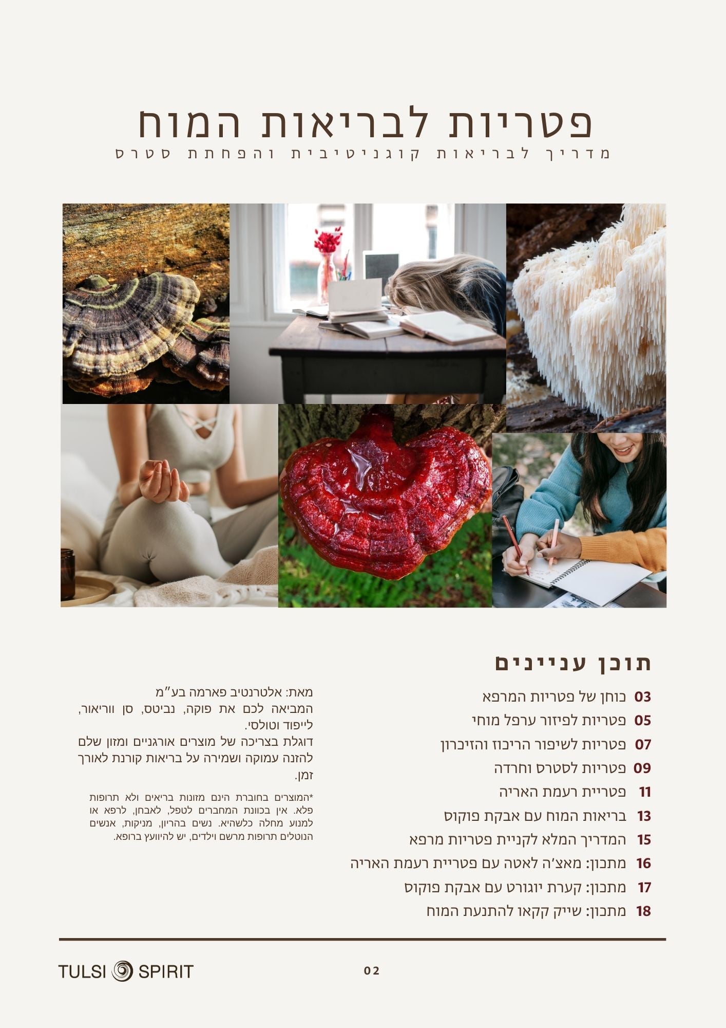 פטריות לבריאות המוח - חוברת חינמית