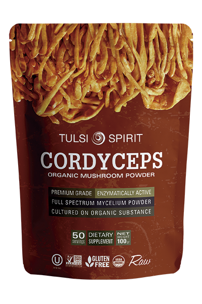 <tc>مسحوق الفطر كورديسيبس</tc>