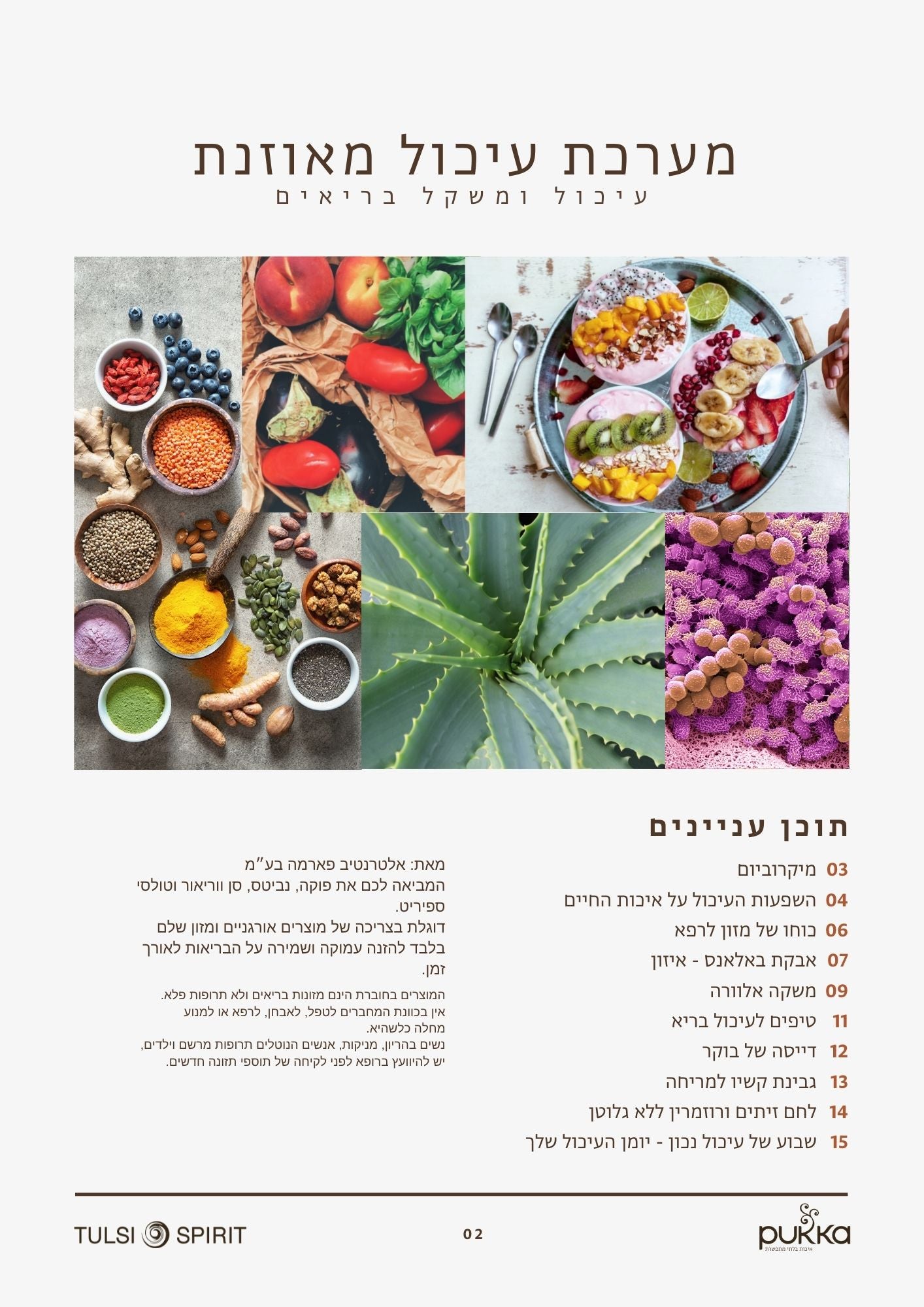 מערכת עיכול מאוזנת - חוברת חינמית