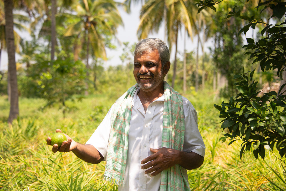 החזון האורגני שלנו בפוקה ישראל