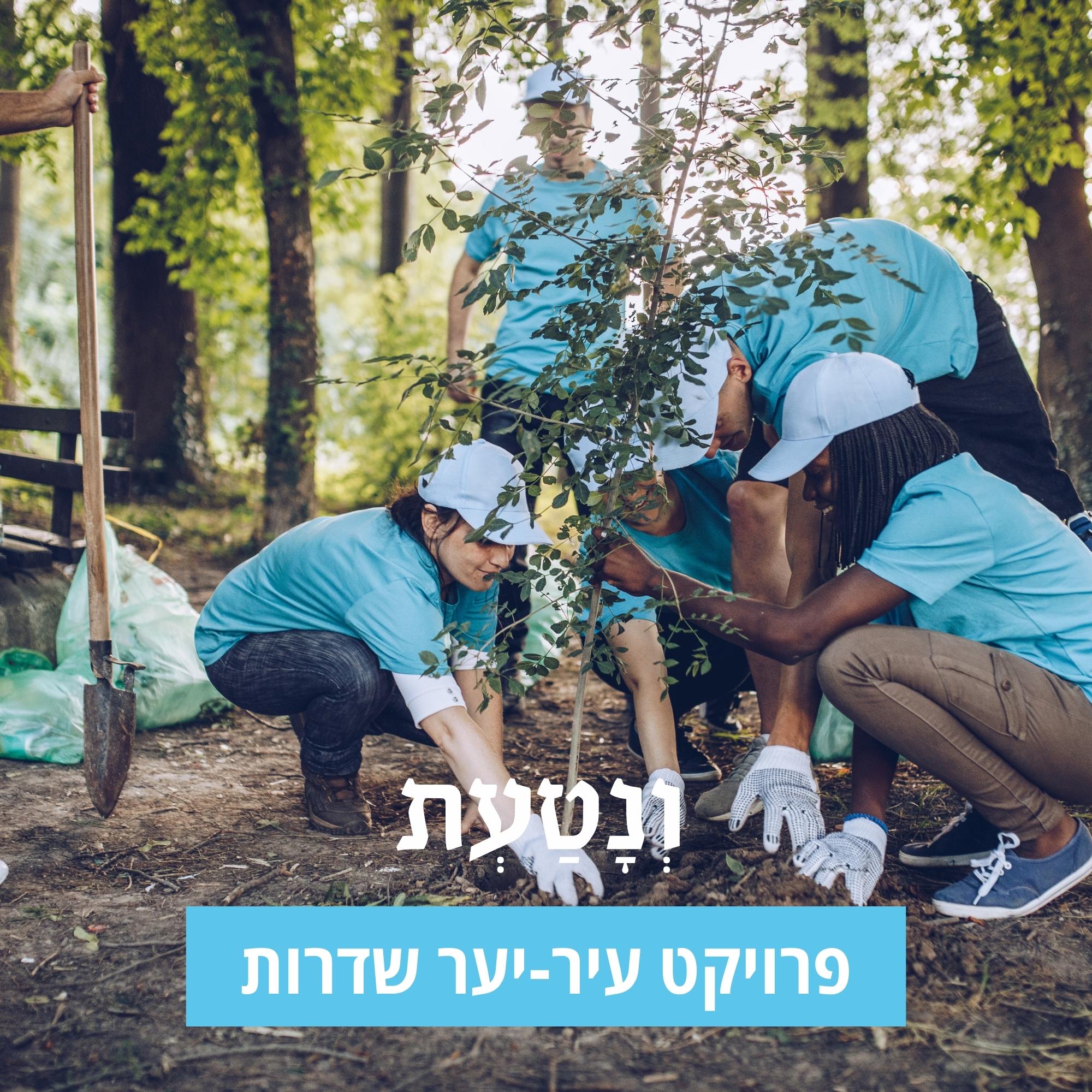 עיר יער שדרות- פרוייקט בשיתוף עם עמותת ״ונטעת״