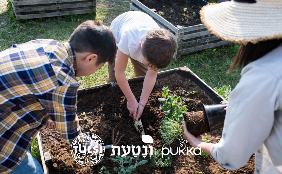 לכבוד ט״ו בשבט: גאים להציג את פרוייקט בארי בחצרים