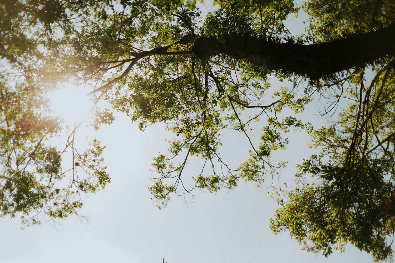10 דרכים טבעיות להחזיר את מערכת העצבים לאיזון