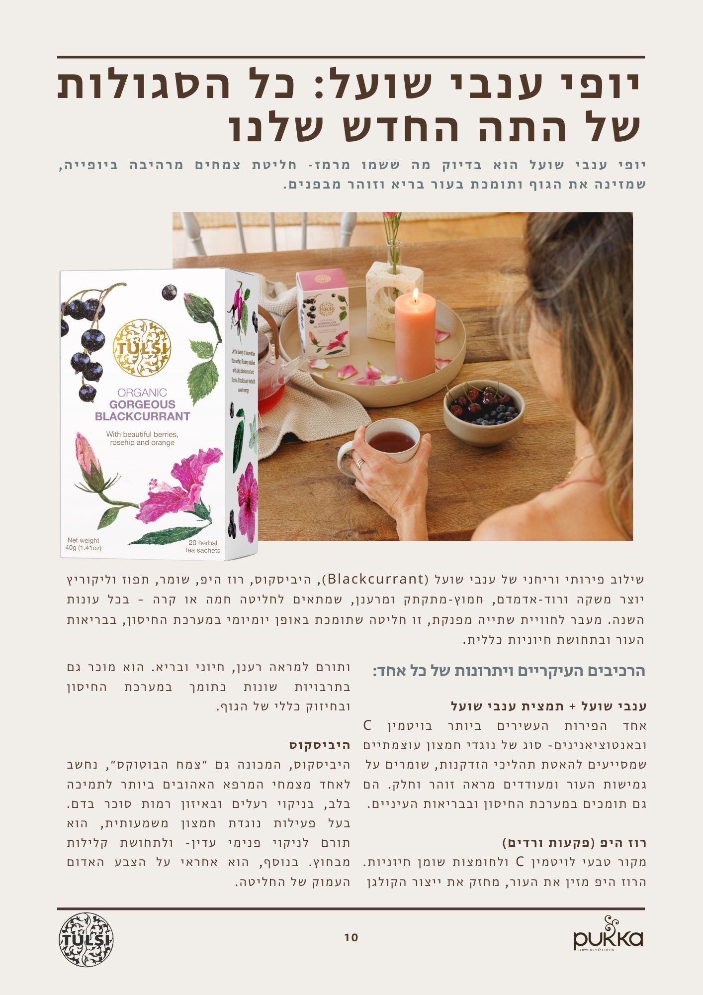 BEAUTY - חוברת חינמית