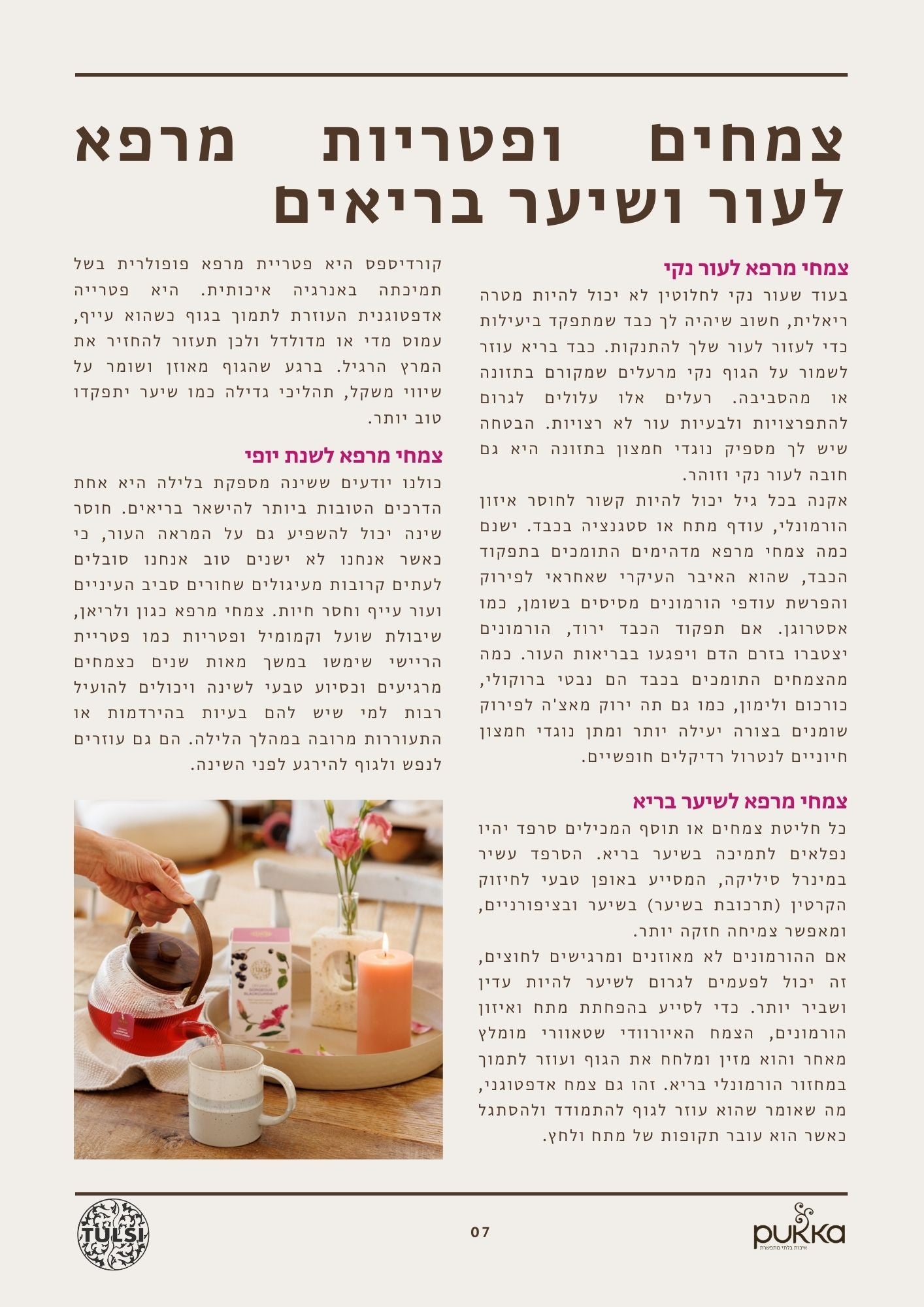 BEAUTY - חוברת חינמית