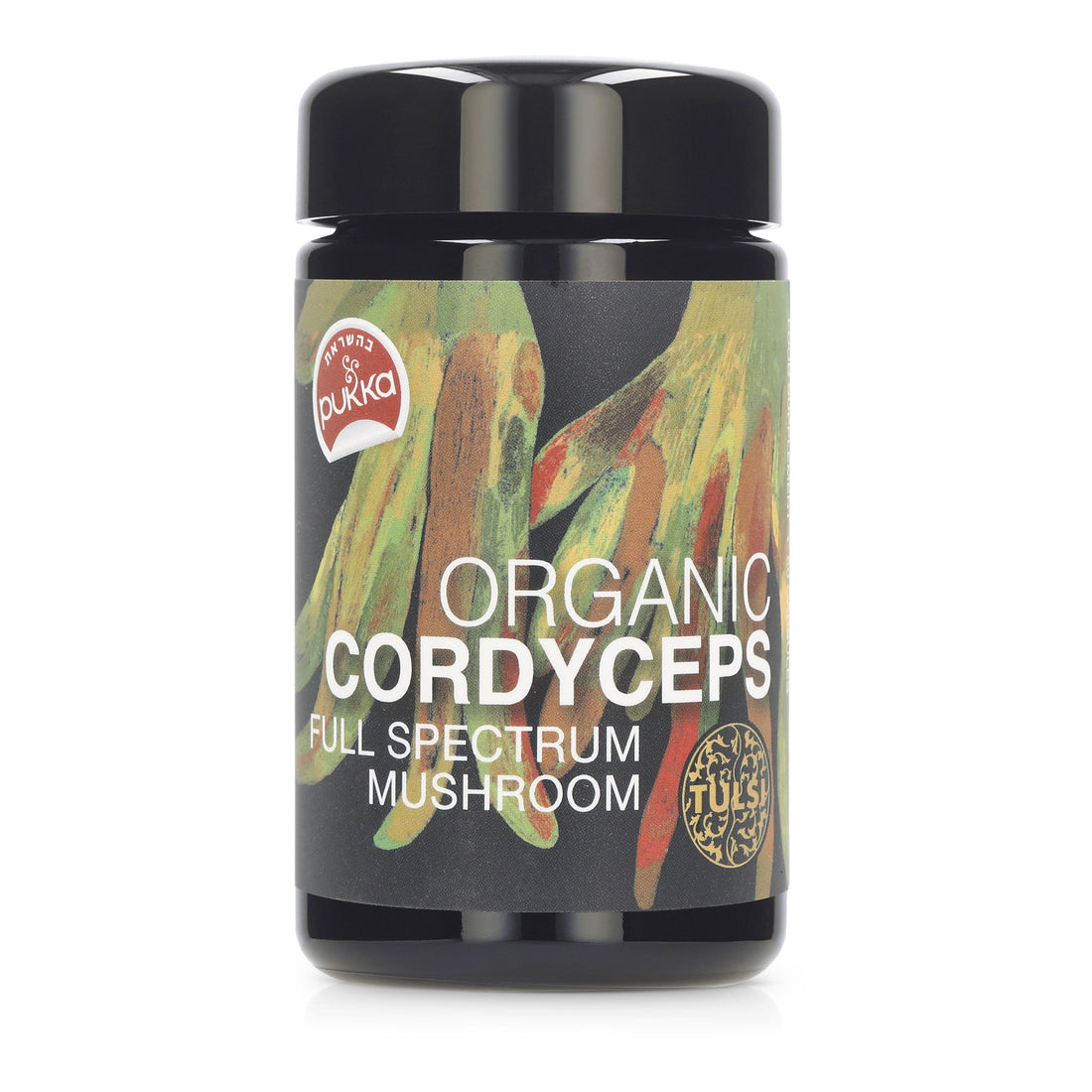 <tc>مسحوق الفطر كورديسيبس</tc>