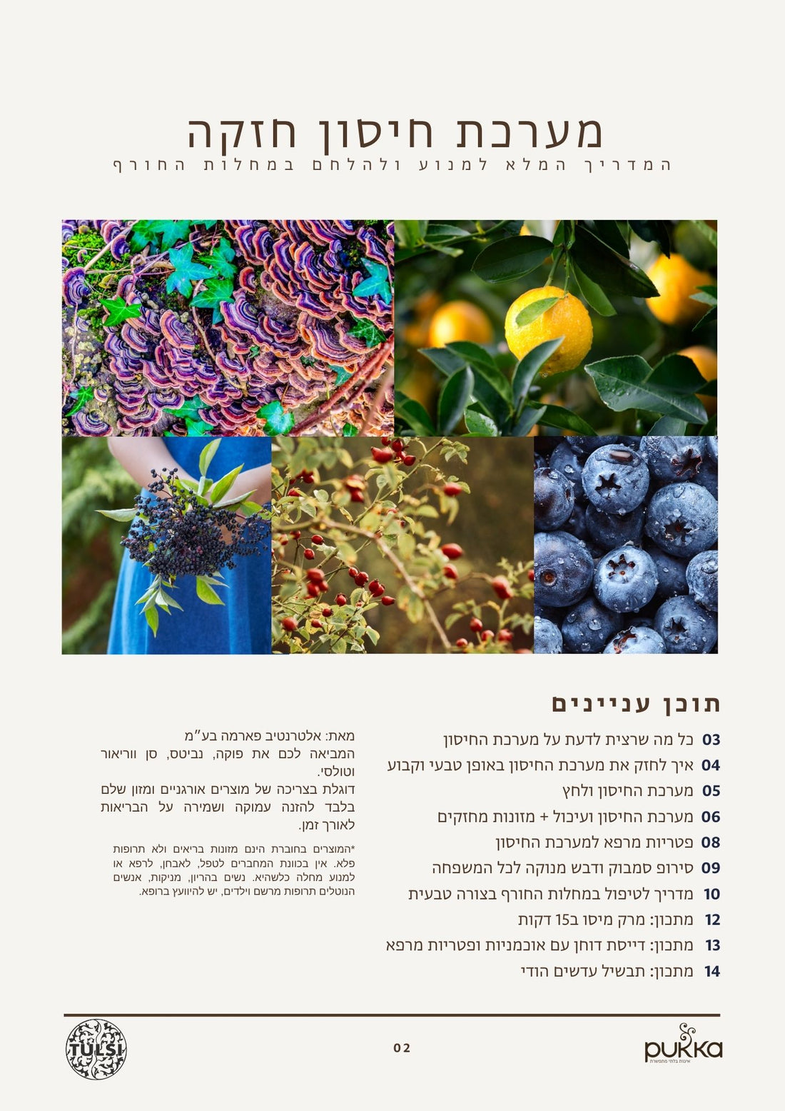 מערכת חיסון חזקה - חוברת חינמית